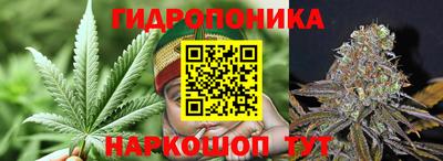 spice Иваново