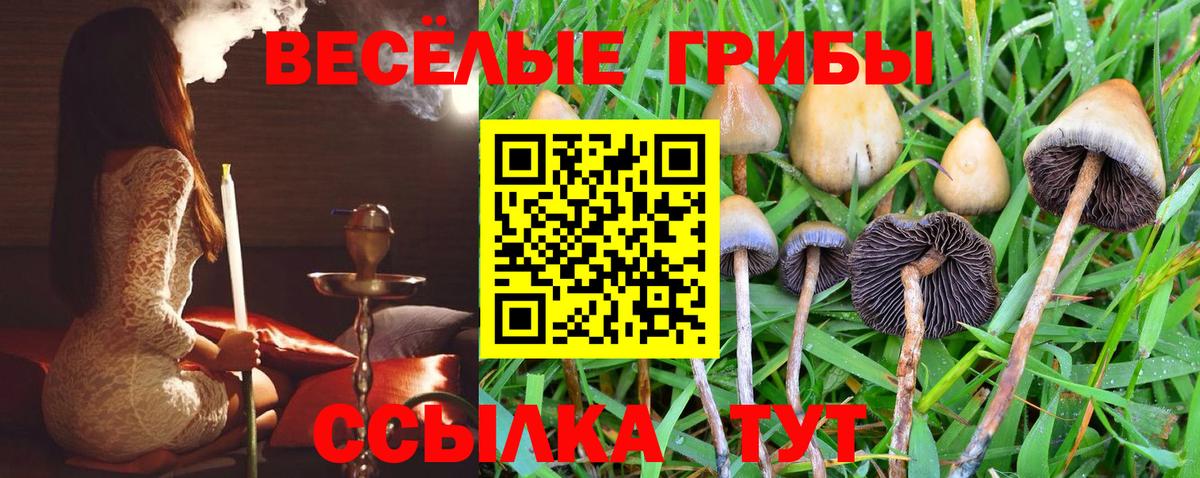 Галлюциногенные грибы прущие грибы Асино