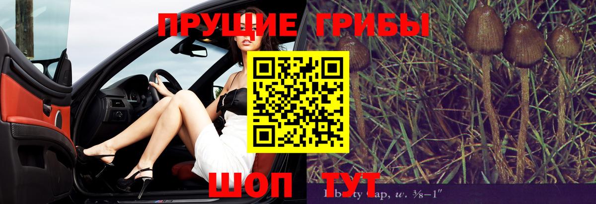 Галлюциногенные грибы прущие грибы  Псилоцибиновые грибы GOLDEN TEACHER  Вход с VPN  Асино 