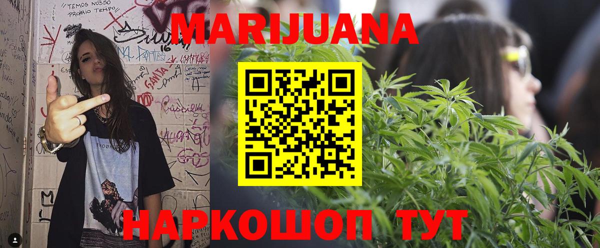 Канабис конопля Асино